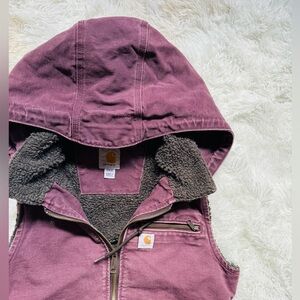 🏔️ Carhartt Wildwood Vest